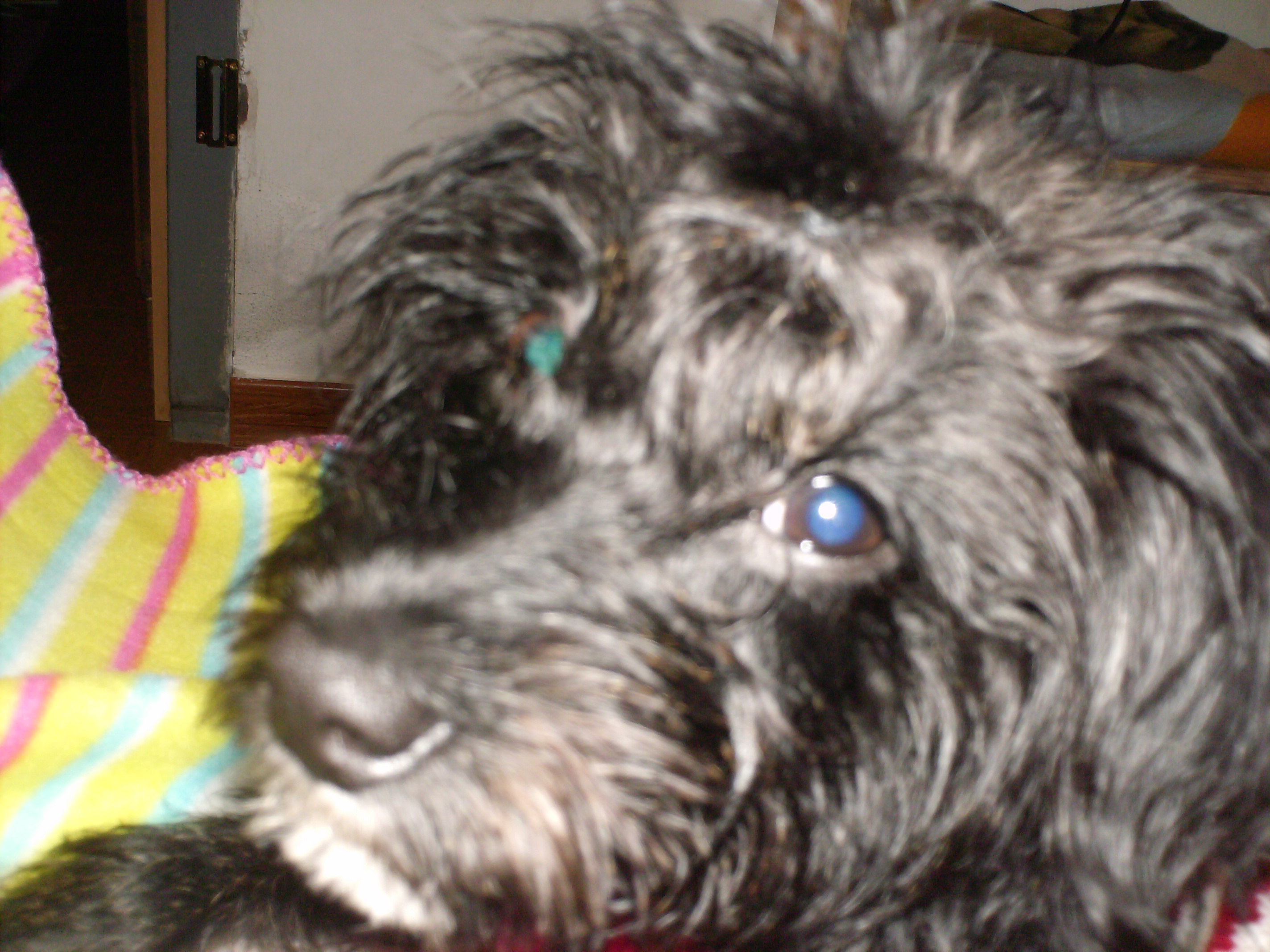 kika 001.JPG